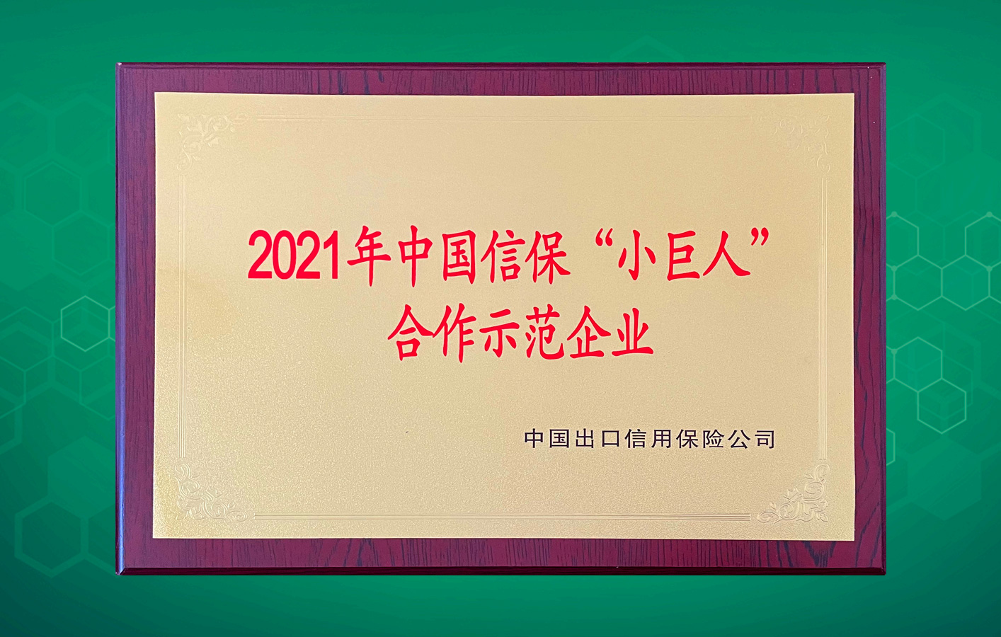 楊帆遠航走向世界！華聯(lián)領(lǐng)世榮獲中國信?！靶【奕恕焙献魇痉镀髽I(yè)！